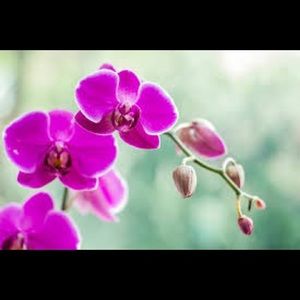 Meet your Posher, Esther